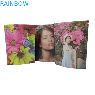 كيس التعبئة الغذائية المخصصة من البلاستيك زيب قفل أكياس الألومنيوم